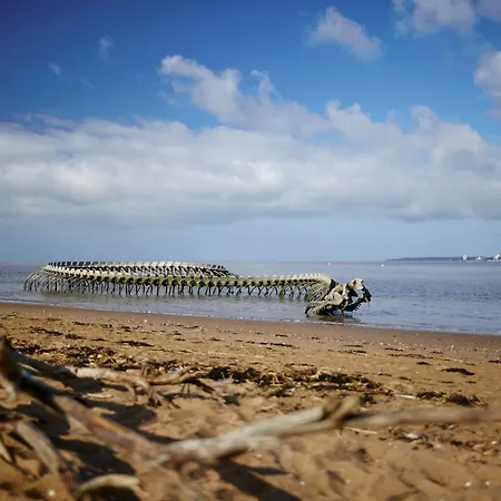 T2 à 100m De La Plage, Terrasse Sud, Proche Commerces - Brevin L'océan - Fr-1-364-147 * Saint-Brévin-les-Pins